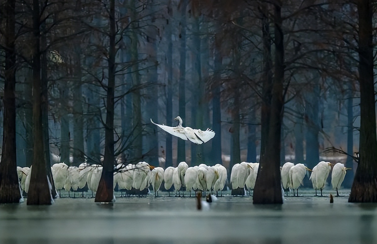 江苏南京高淳区,江苏南京退休金