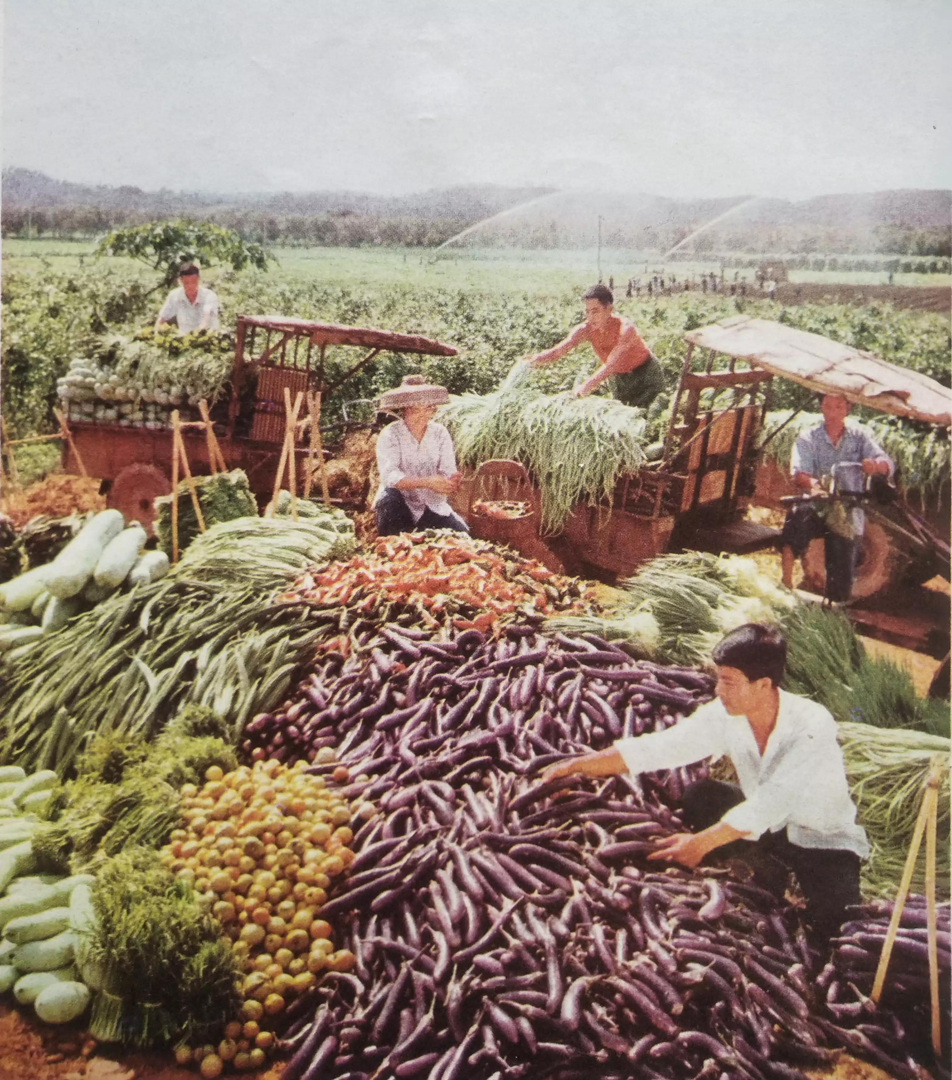 怀旧一下经典图片,怀旧经典图片欣赏