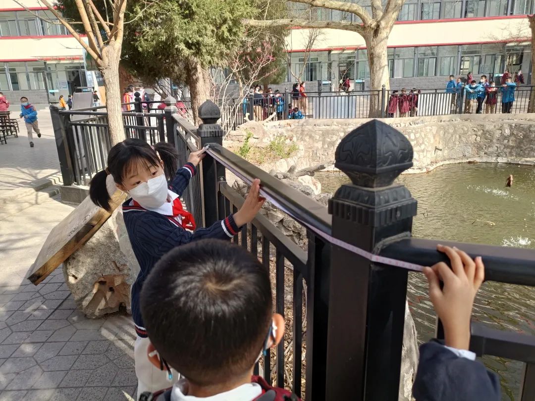 快乐与智慧同行——石家庄市新华区西三庄学校第二届数学节