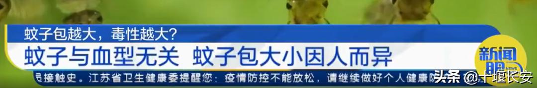 蚊子叮的包越大说明毒性越强吗,蚊子包最好有什么办法处理