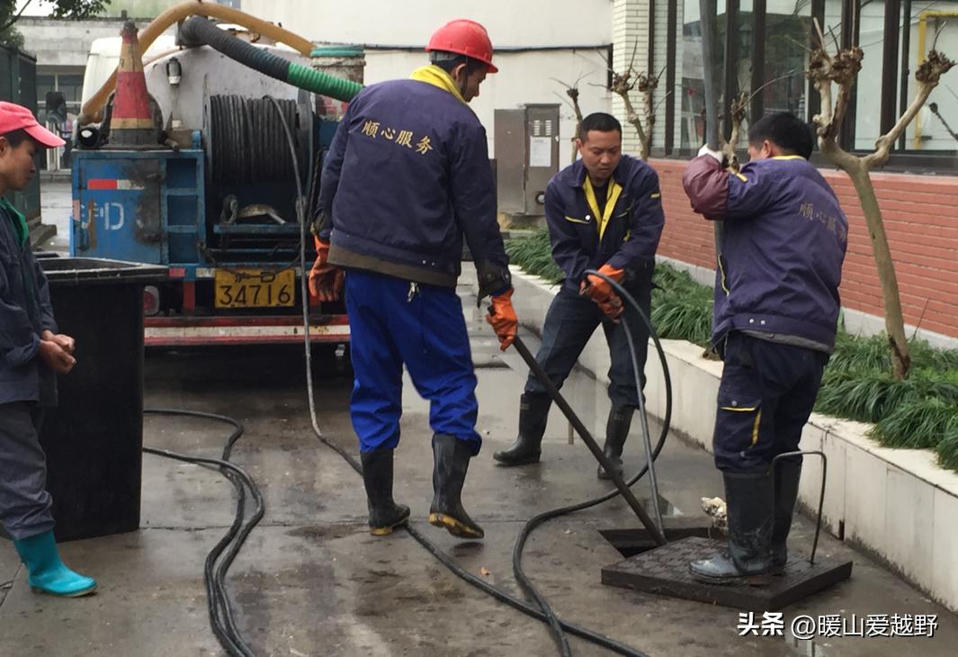 上海有什么不用学历又赚钱的职业,上海什么工作不要学历赚钱多