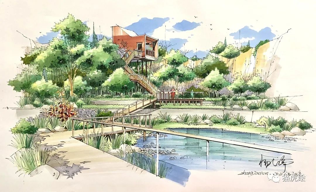 2022猫虎绘暑假手绘班招生简章「线上+线下」