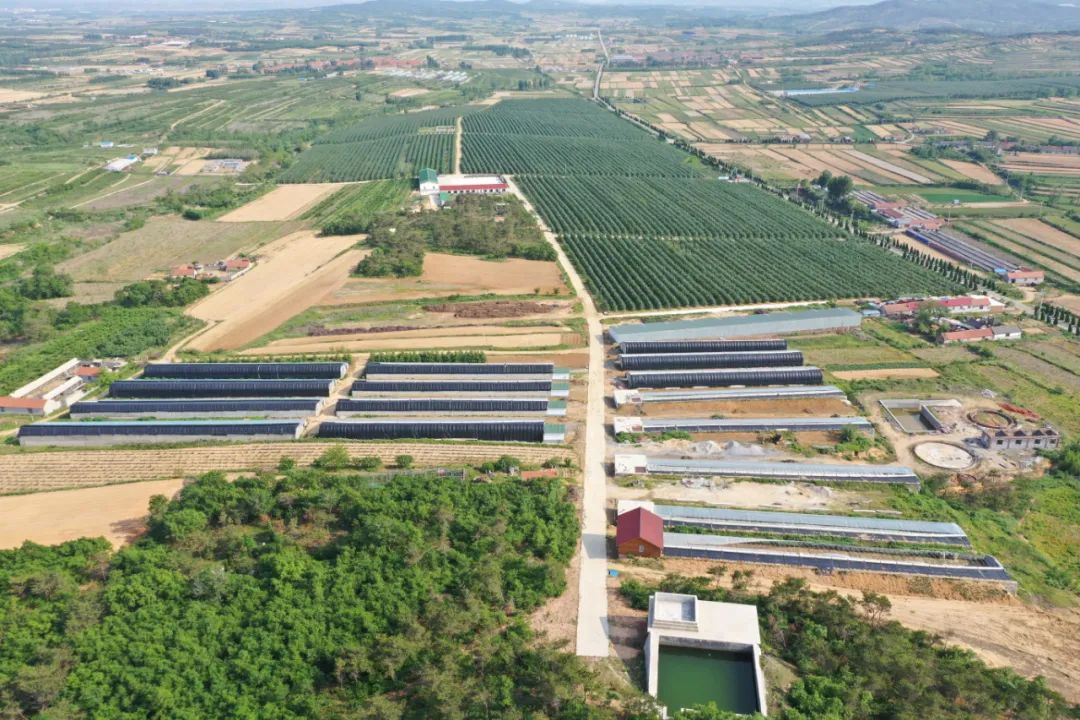 非凡十年看海淀,非凡十年看鹤城