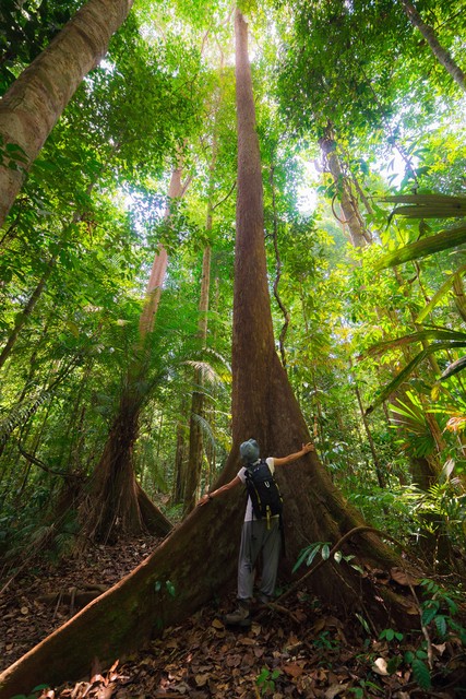 上海迪士尼打卡线路图,上海迪士尼拍照地点攻略