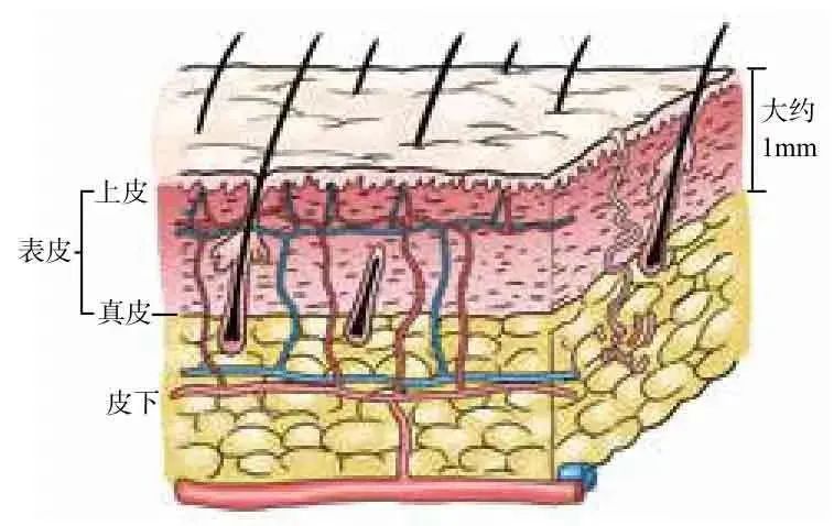 3分钟get:真正的外科缝合秘籍