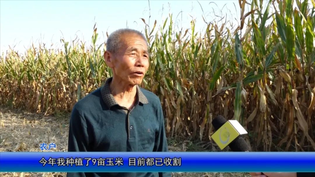 汾州大地沃野生金秋收忙颗粒归仓产量丰