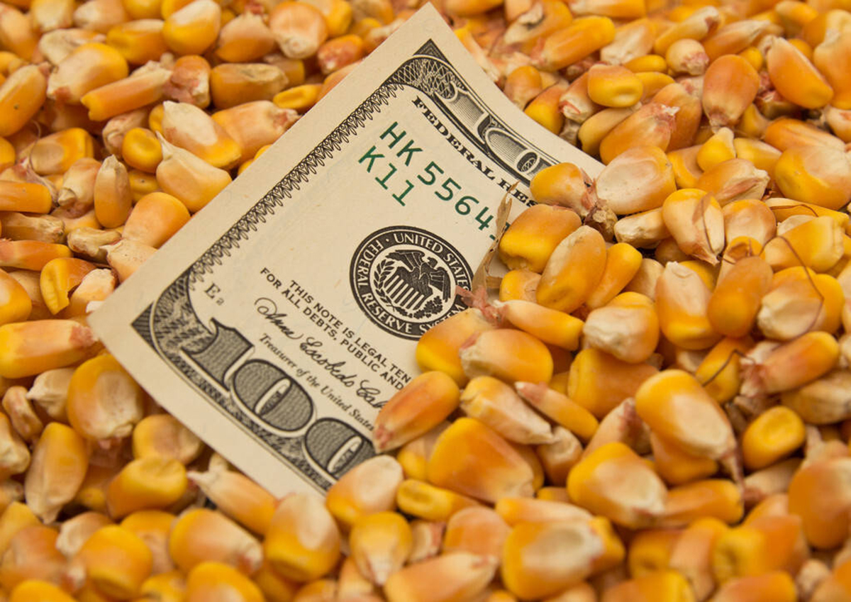 美国70万吨玉米订单被取消了吗,中国取消美国玉米订单吗