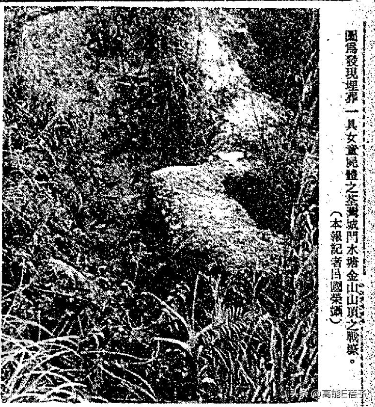 香港奇案单亲母亲报仇,香港奇案之灭门奇案