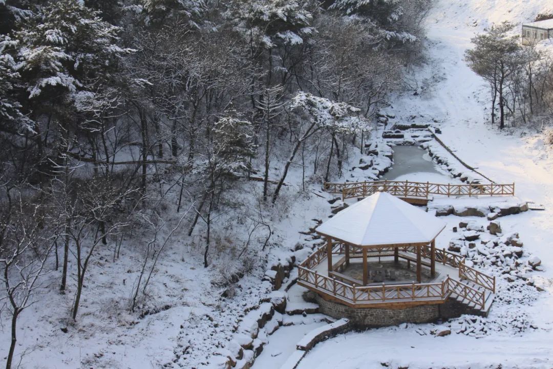 央企开发商扎堆买地,央企国企组团