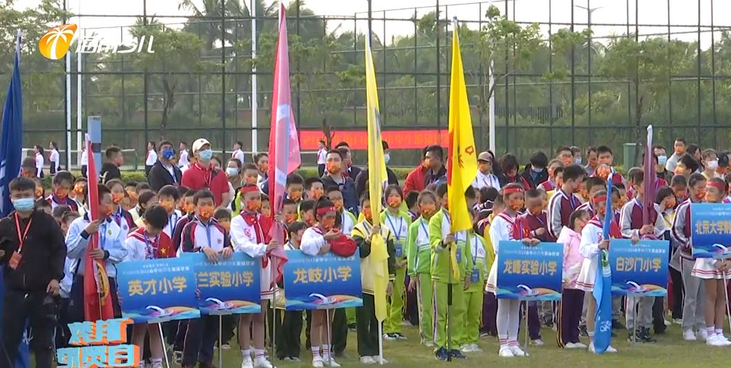 2022年海口小学生游泳比赛,海口市2024年中小学游泳比赛