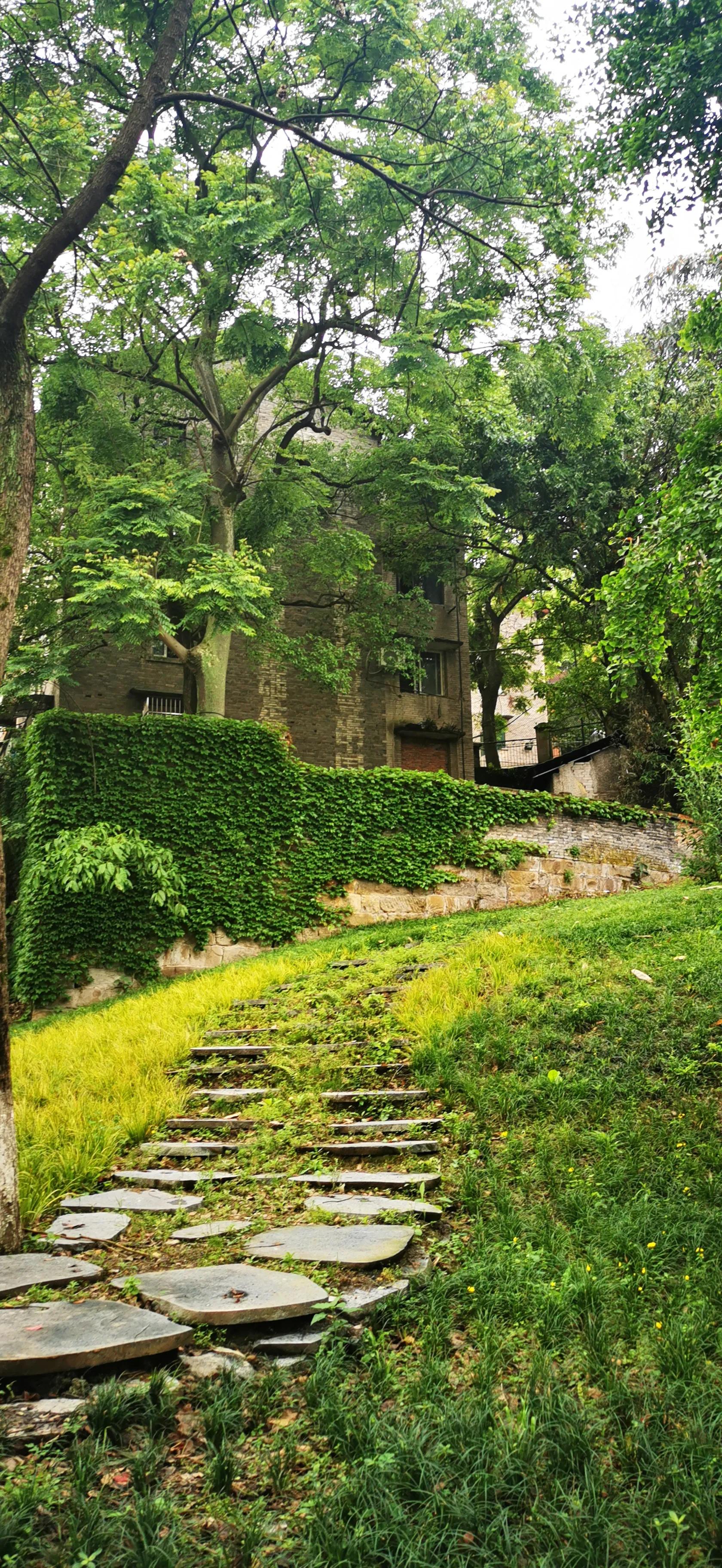 缙云山脚,缙云附近适合散步的地方