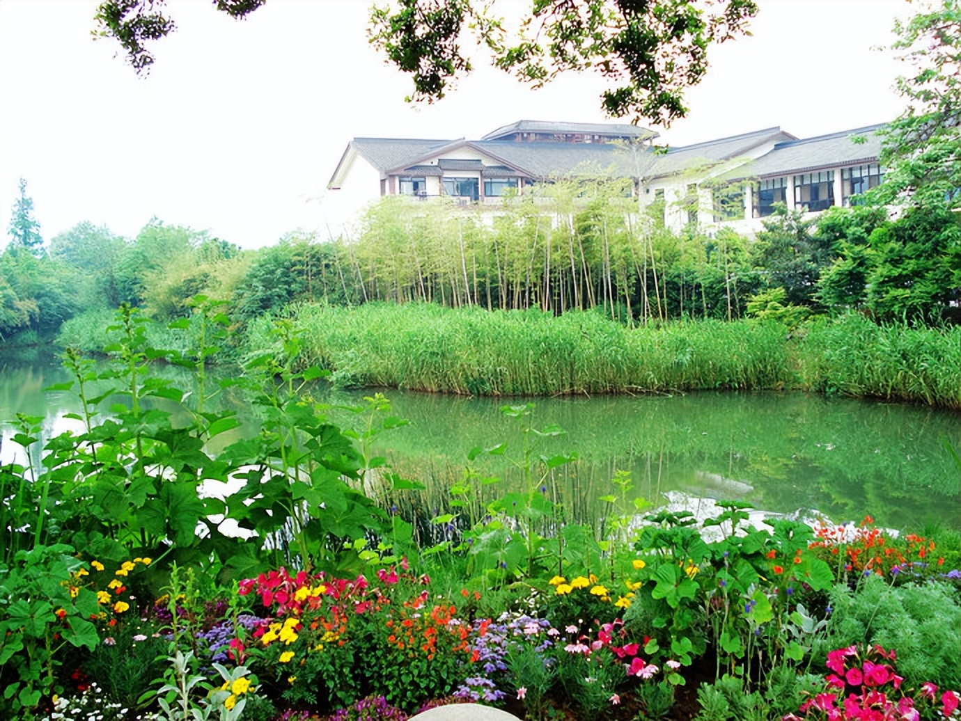 慢游放松体验,杭州慢时光游玩攻略