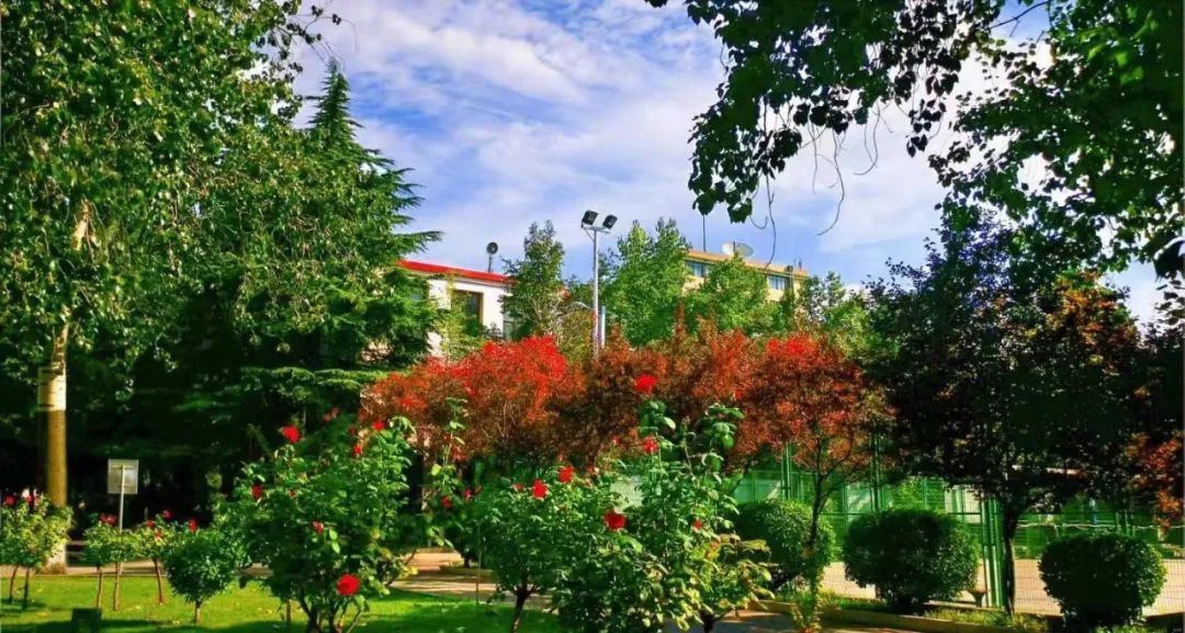 多少分，能上河南理工大学？