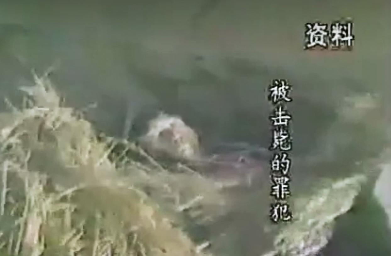 25岁民警猝死在派出所,25岁牺牲的缉毒卧底民警