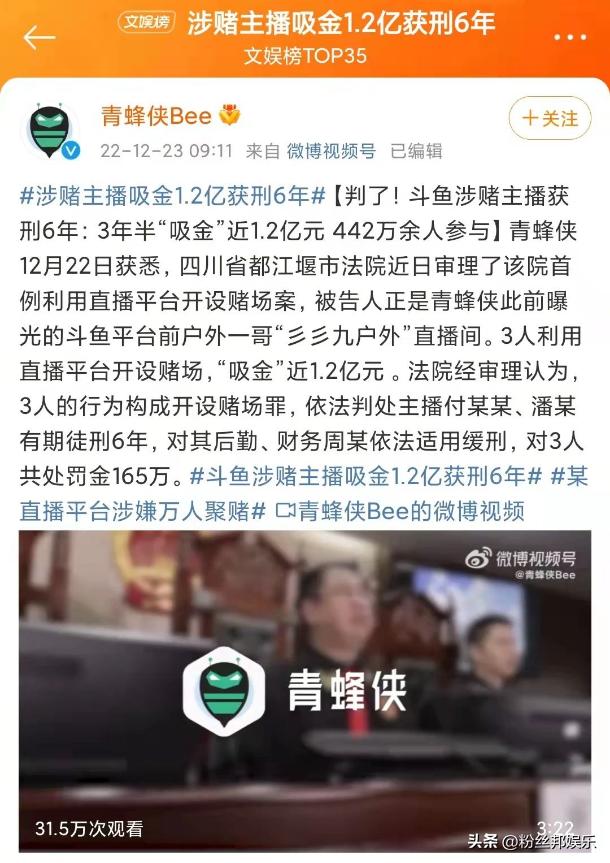 斗鱼涉赌事件会判刑吗,斗鱼涉赌主播获刑多久