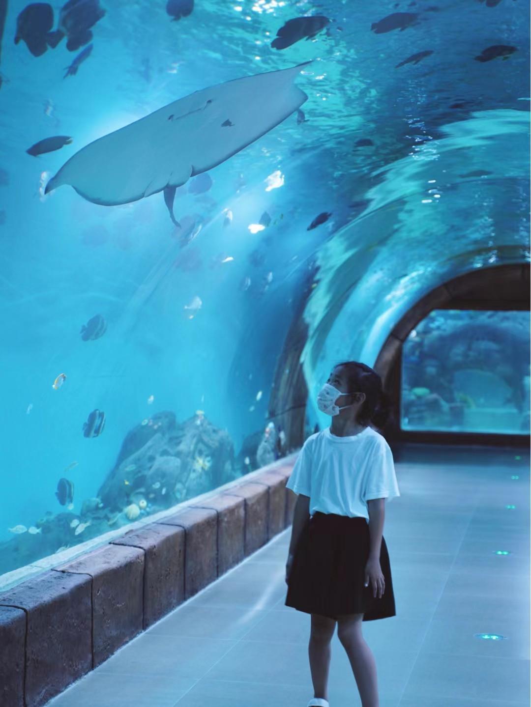 十一假期逛吃沈阳攻略,十一沈阳游玩攻略