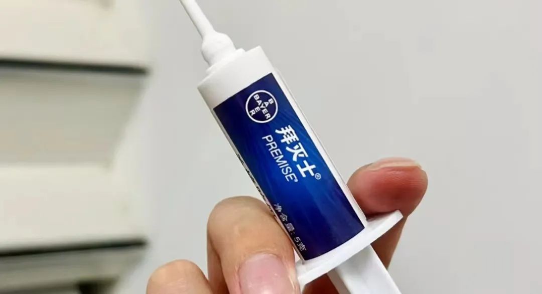 土方法灭蟑螂怎么正确消灭最彻底,灭蟑螂误区及正确的灭蟑螂方法