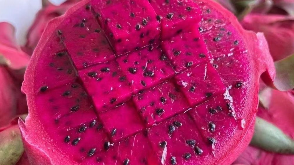 连锁水果店在哪里进货,自己去水果批发市场进货开水果店