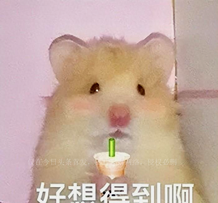 投胎这事真是被她拿捏了，合理怀疑娘胎里她给自己捏了脸