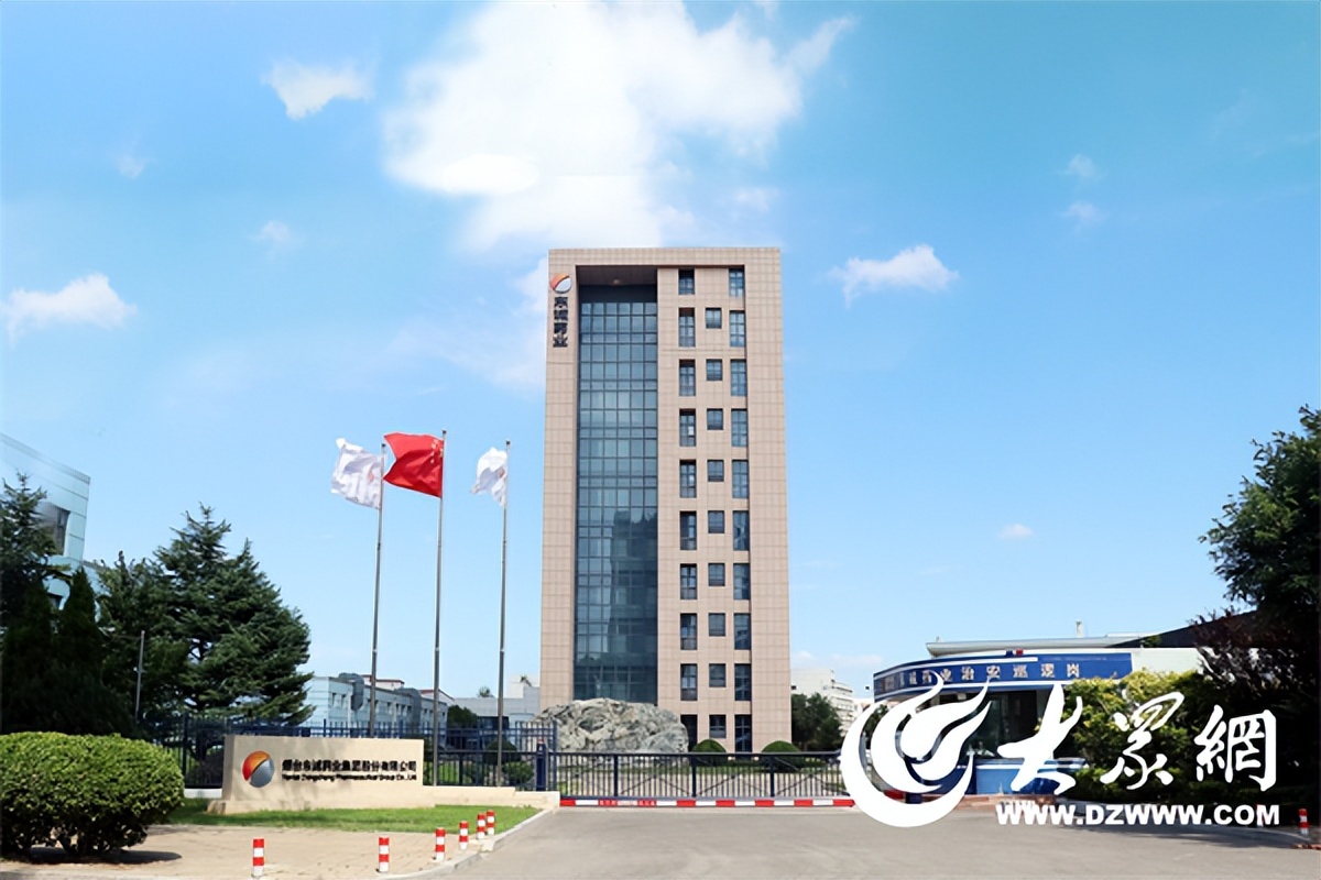 东诚药业核心竞争力,东诚药业竞争药企