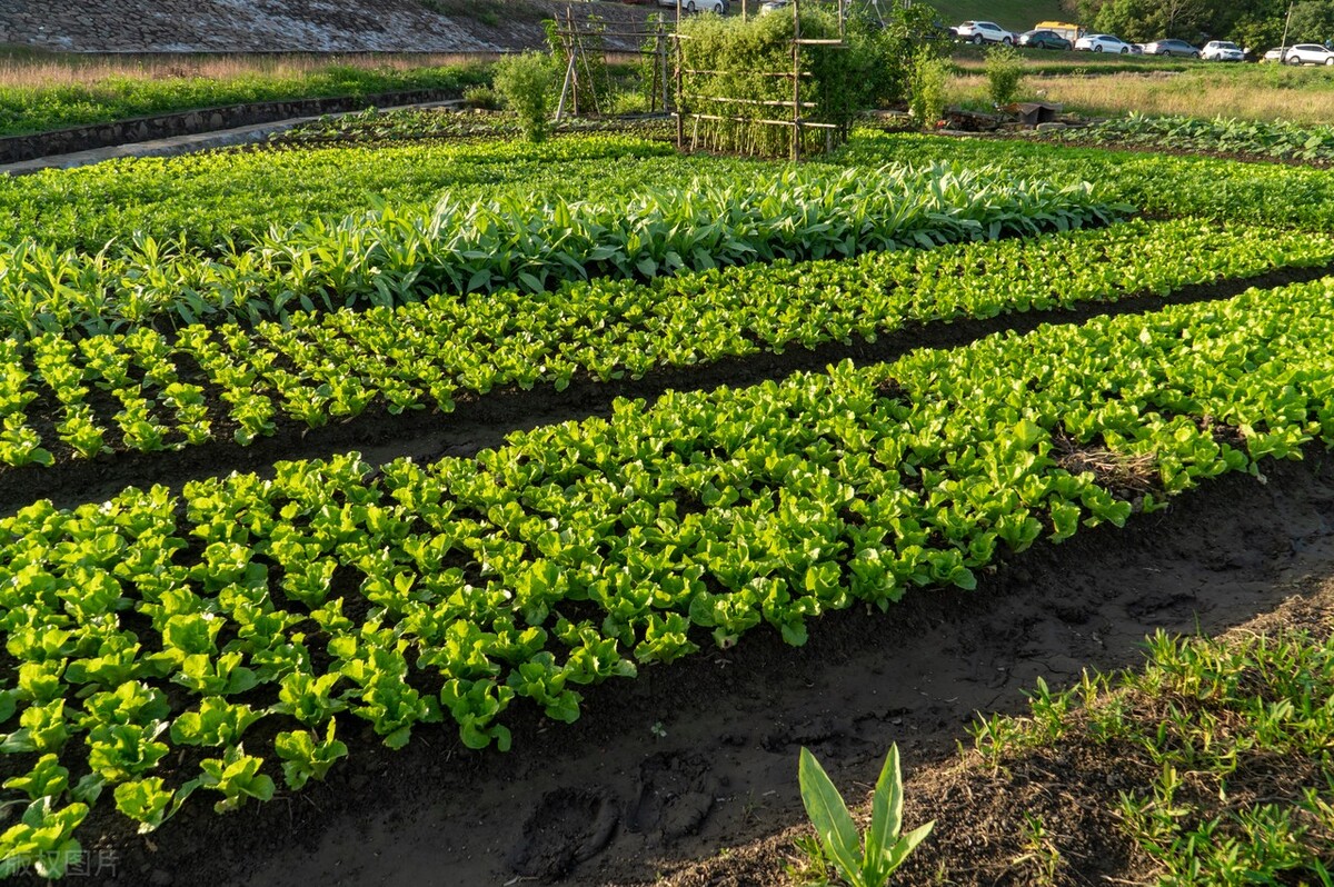 她的创业史,讲述他的创业故事