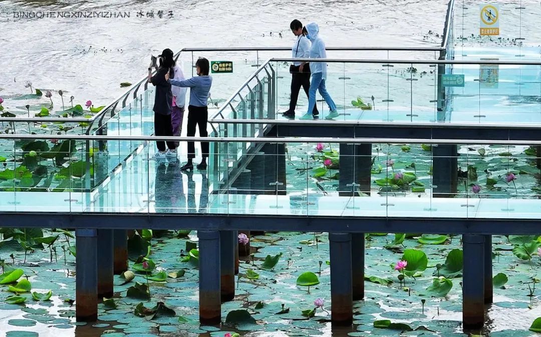 中俄边境线上的小城：逊克，披着“红珠绿边银装”的生态边城