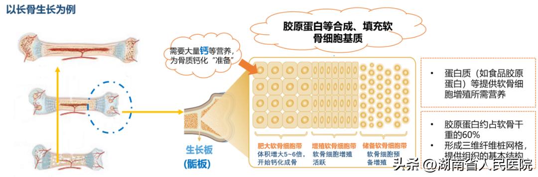 春季孩子身高暴涨期,判断孩子身高增长快慢的标准