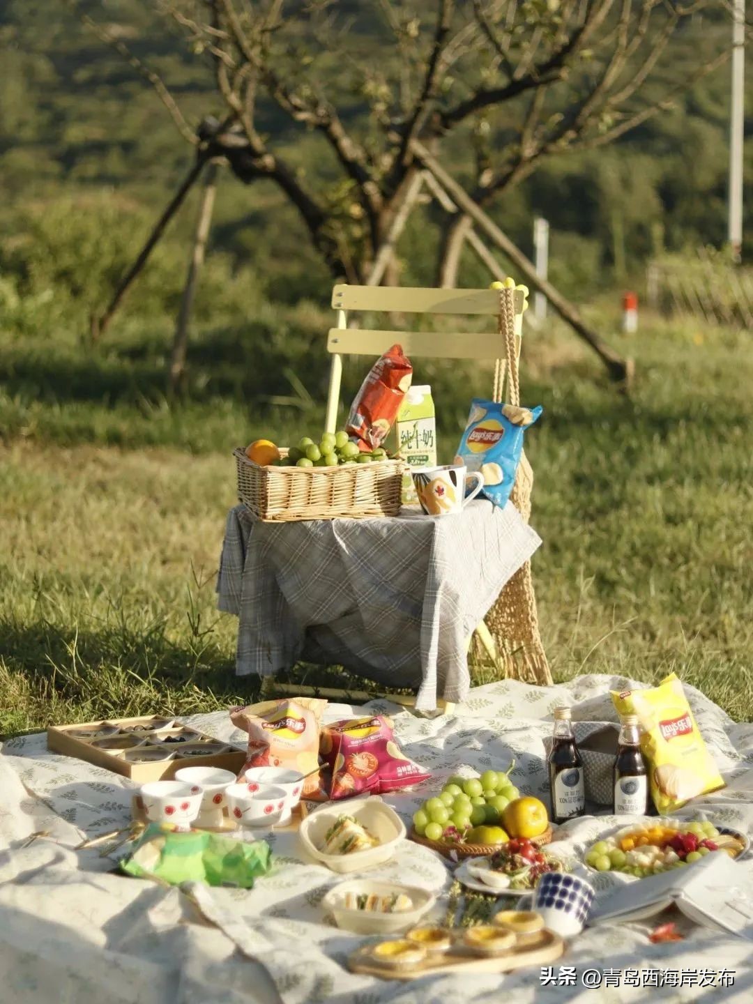 现实版小森林，这些藏在西海岸周边的乡野太治愈