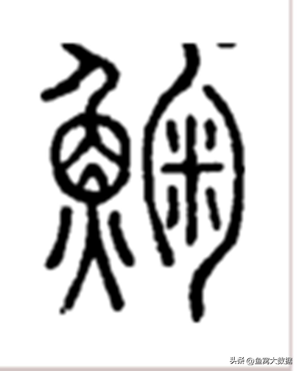 长江江豚吃什么呢,长江江豚以前可以吃吗