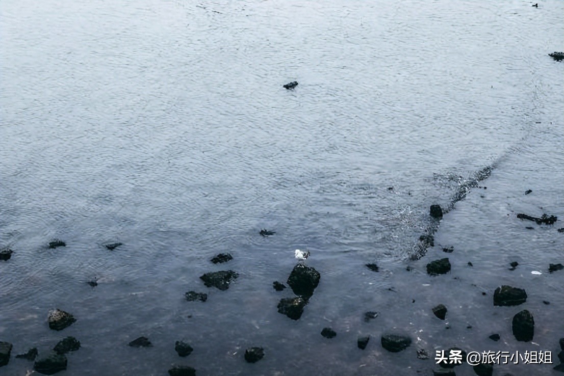 夏日海边浪漫迷人,滨城风光秀丽浪漫气息爆表