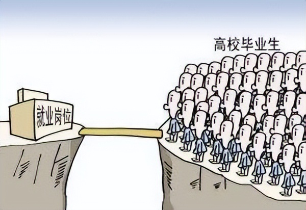 选择大于努力，C2的“热门王牌”和华五的“冷门天坑”你会怎么选