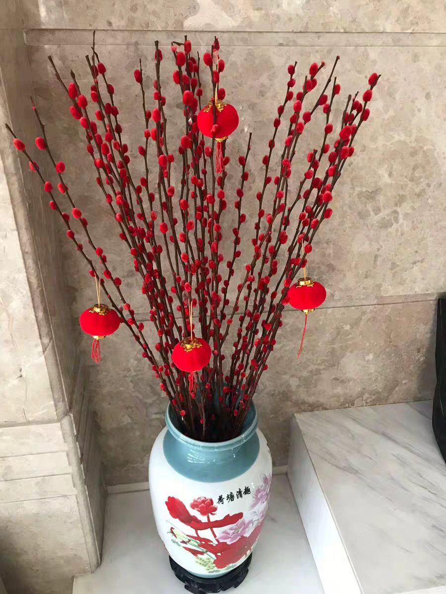 6种年宵花现在买最省钱,年宵花怎么养才旺财