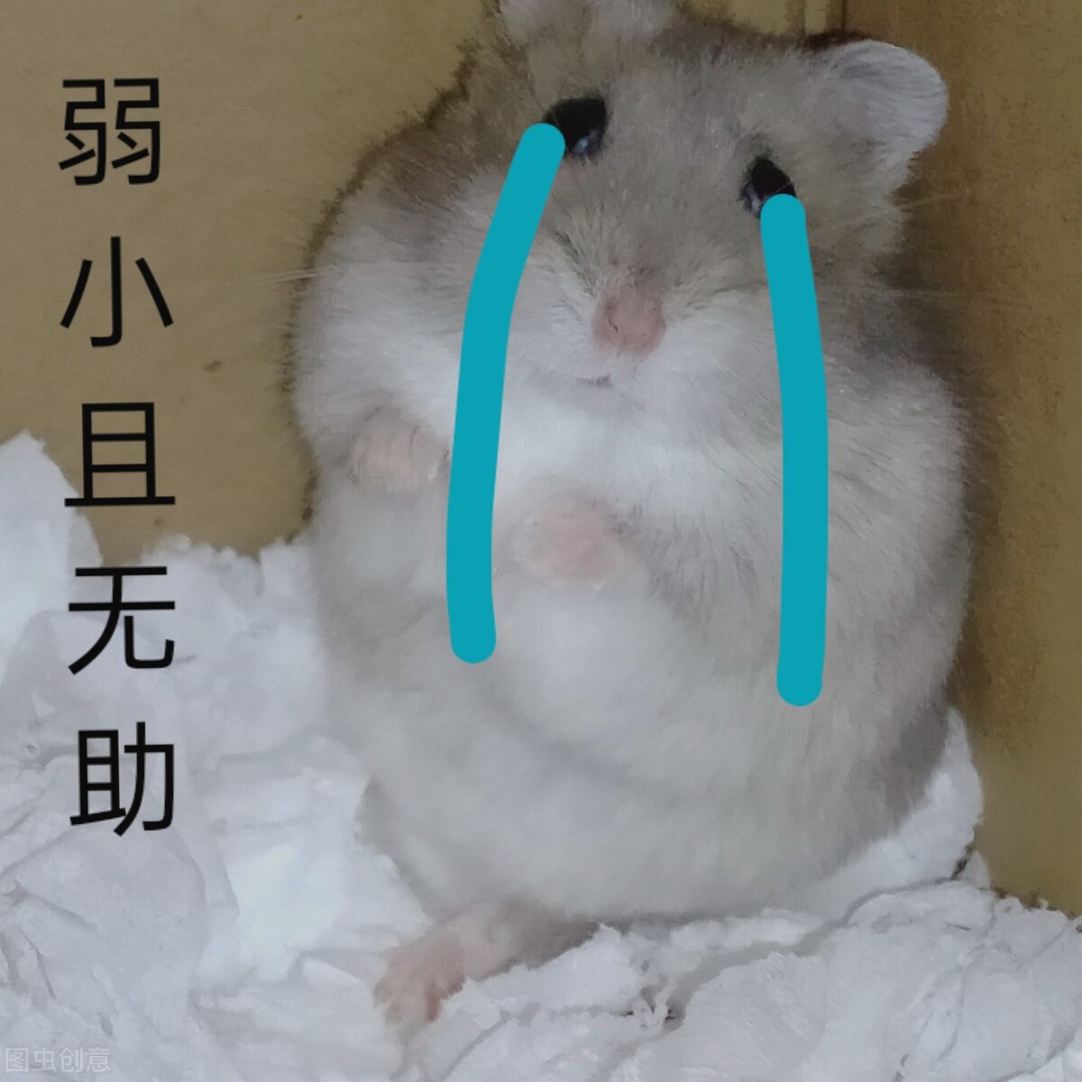 写好求职简历六大技巧,如何写好一份简历并通过面试