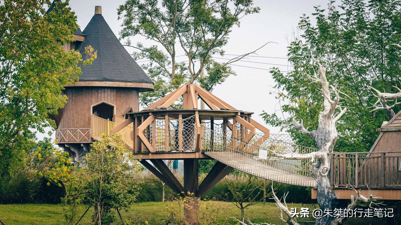 安徽合肥适合亲子游的地方推荐,合肥适合亲子游的景点