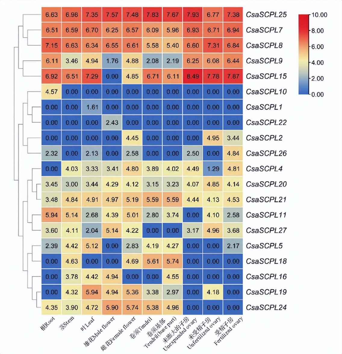 黄瓜基因组数据库怎么查基因序列,黄瓜花叶病毒基因序列