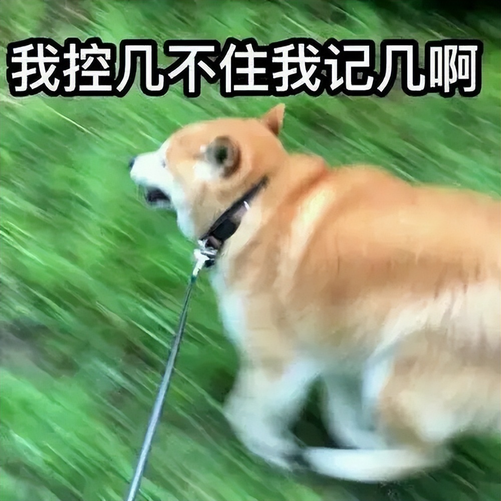 狗狗吃草是什么原因？原来是这几点在作怪，错怪狗子了