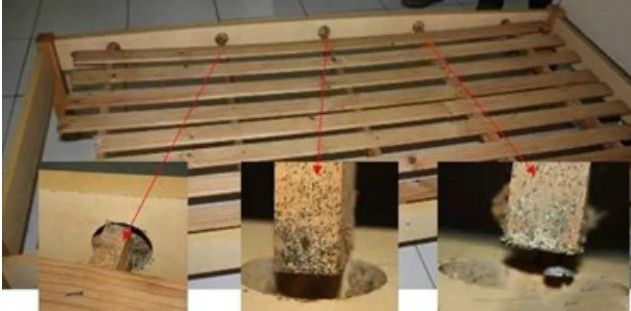 宿舍有臭虫怎么彻底消灭,宿舍有臭虫怎么防止被咬