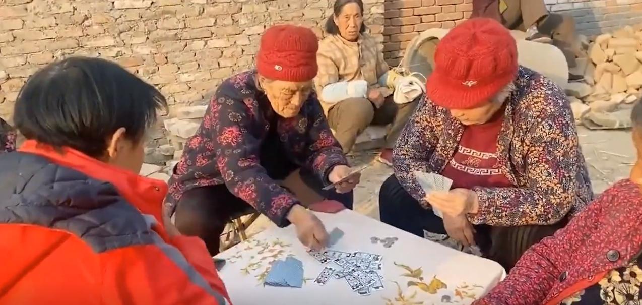 20年广东老太捡到一只“野猫”,越养越不对劲,专家看后立即报案