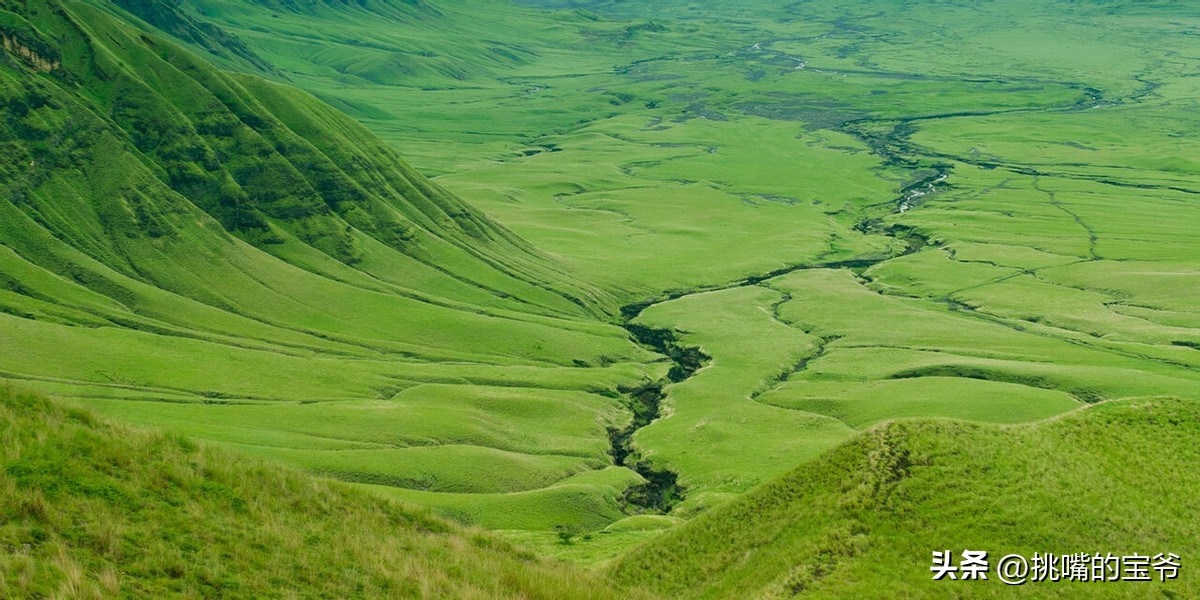 同在非洲大陆，同胞国家忍饥挨饿，它还出口牛油果、芝麻到中国