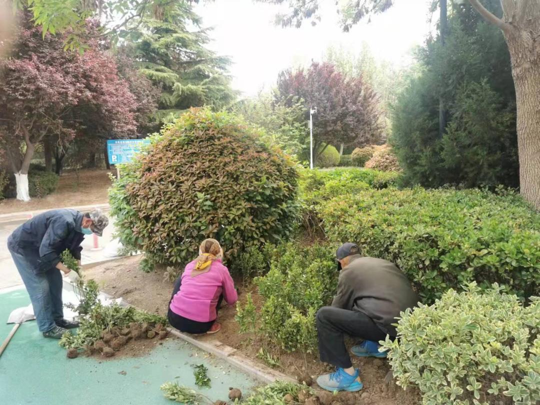 青岛城阳区城市更新专项规划,城市公园恢复改造实践方案