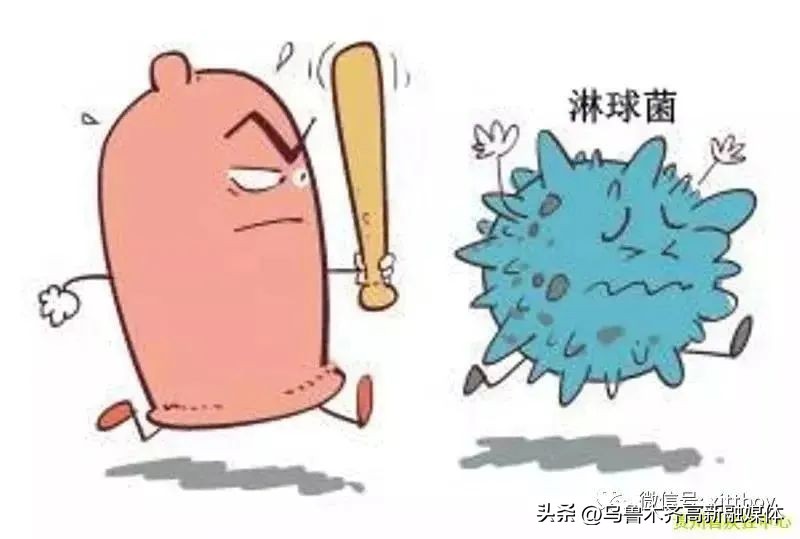 健康科普传染病知识,健康科普哪些不能讲