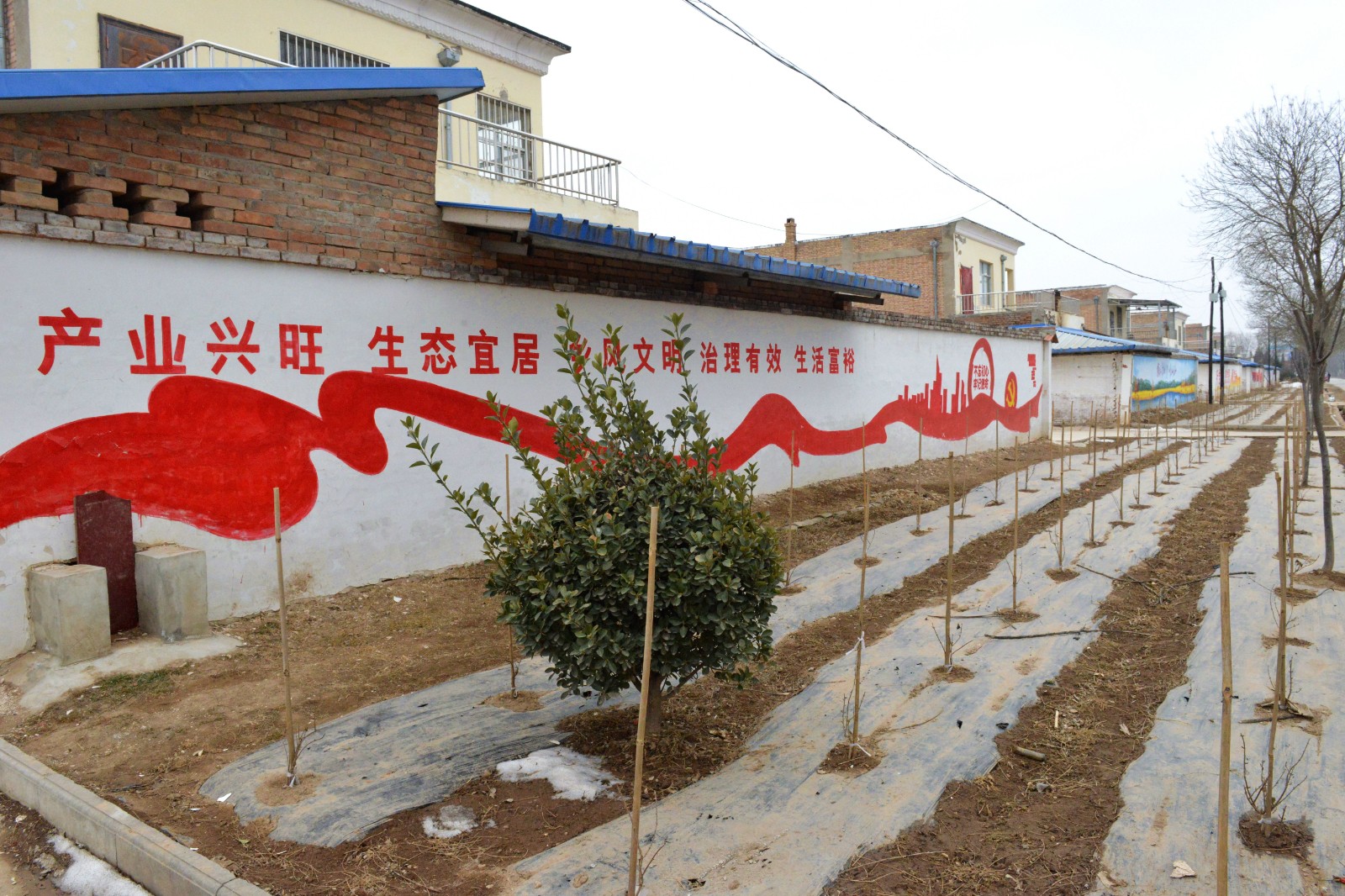 文明新风进万家活动方案,文明新风进万家