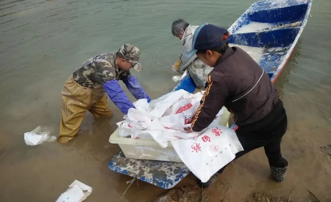 鱼塘消毒用什么成本低,鱼塘消毒用什么比较好