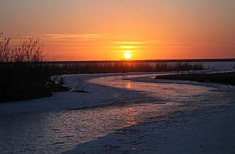 各位丈夫“阳”的表现：千姿百态，他们对病痛的忍耐力稍逊于女性