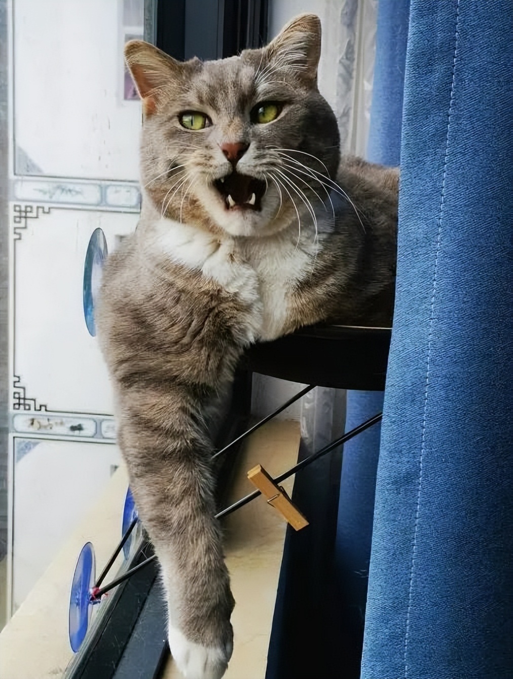 马东锡颜值巅峰的照片,马东锡年轻个人简历