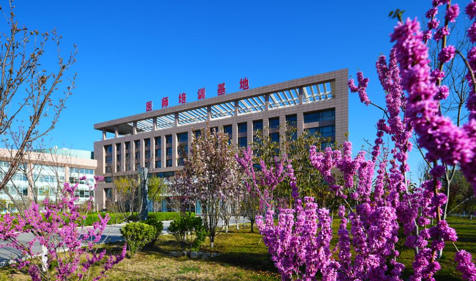 济宁中医住院医师规范化培训,济宁人民医院住院医师规范化培训