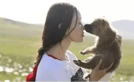 成都女孩养狼结局是什么,成都女孩养狼的故事完整版