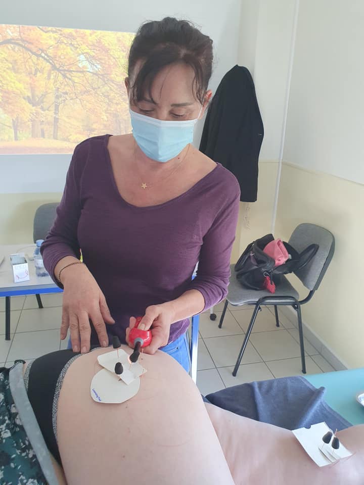 法国的国宝级老中医,中医药治老狗