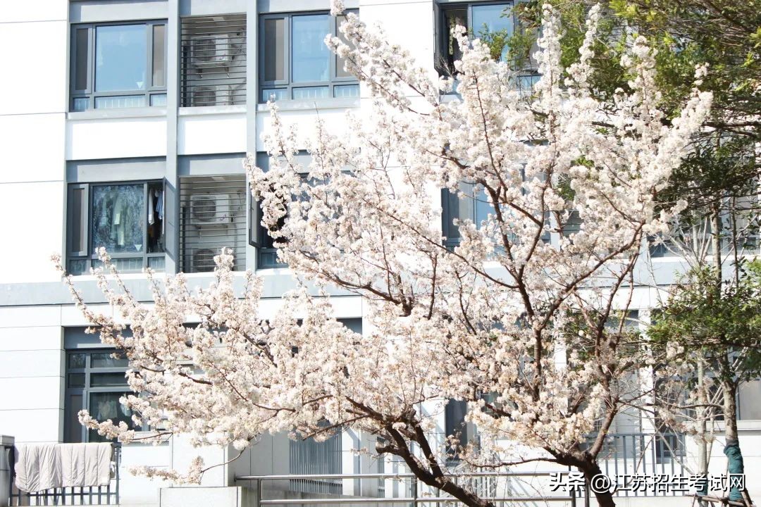 苏州农业职业技术学院全览,苏州农业职业技术学院综合信息网