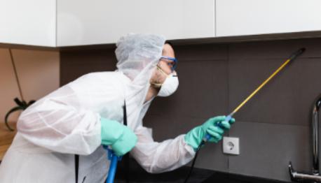 家里蟑螂太多怎么才能根除蟑螂,蟑螂诱饵可以根除蟑螂吗